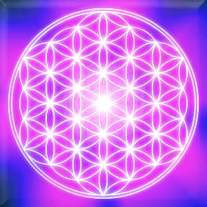 floweroflife5.gif
